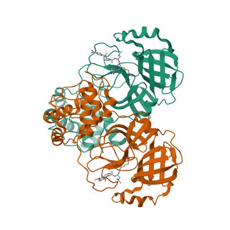 Rcsb Pdb Dgi The Co Crystal Structure Of Sars Cov Main Protease