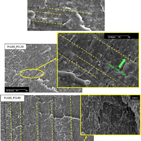 Sem Micrographs Of The Cryo Fractured Surface Of Tensile Pla Pcl