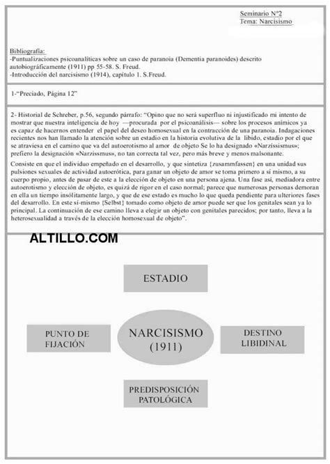 Resumen De Narcisismo Psicopatolog A Schejtman