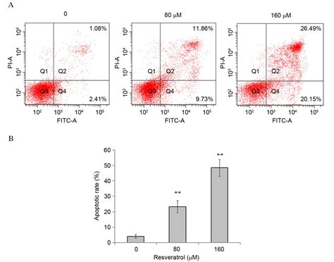 Resveratrol Induces Cell Cycle Arrest And Apoptosis In Human