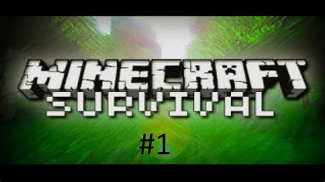 Minecraft Survival Het Begin Youtube