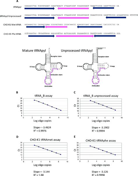 Qpcr Assay Performance On Single Stranded Dna Oligos Corresponding To