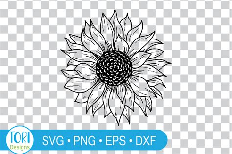 Sunflower Hand Drawing Graphic By Tori Designs · Creative Fabrica