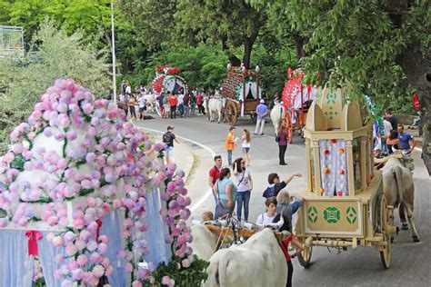 San Pardo A Larino Turismo In Molise