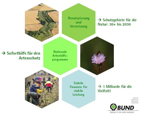 Naturschutz Der Zukunft