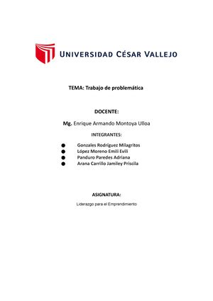 Proyecto Final Técnicas E Instrumentos PROGRAMA DE INVESTIGACIÓN