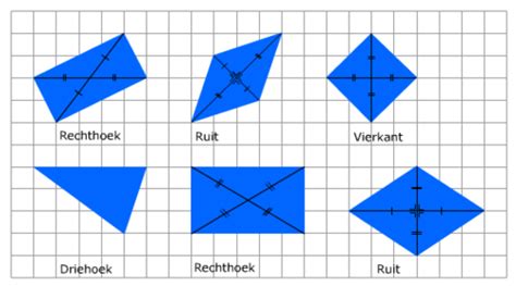 Wiskunde Module Ruimtefiguren Flashcards Quizlet