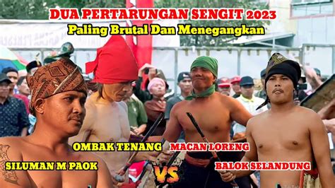 Pertandingan Paling Brutal Ombak Tenang Macan Loreng Siluman M