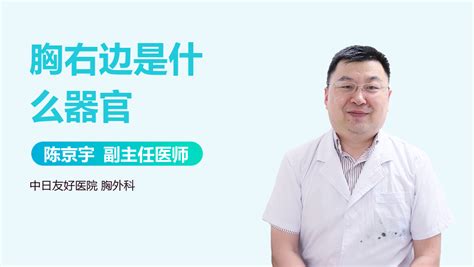 心脏右边是什么器官 有来医生