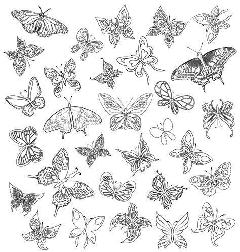 Coloriage De Papillon