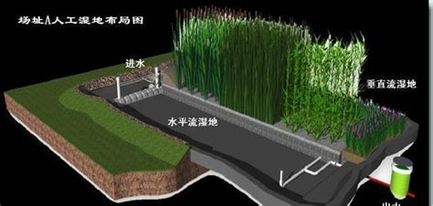 农村污水处理技术讲座13人工湿地污水处理湿地新浪新闻