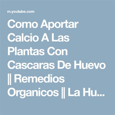 Como Aportar Calcio A Las Plantas Con Cascaras De Huevo Remedios