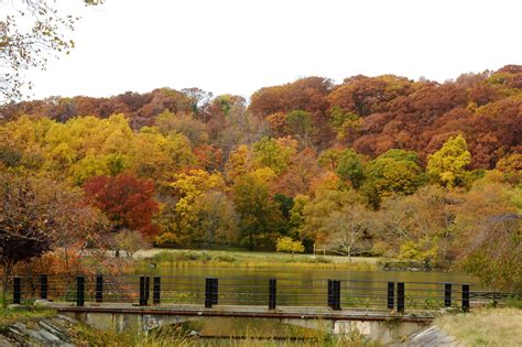 Inwood Hill Park - SeeNewYork.nyc