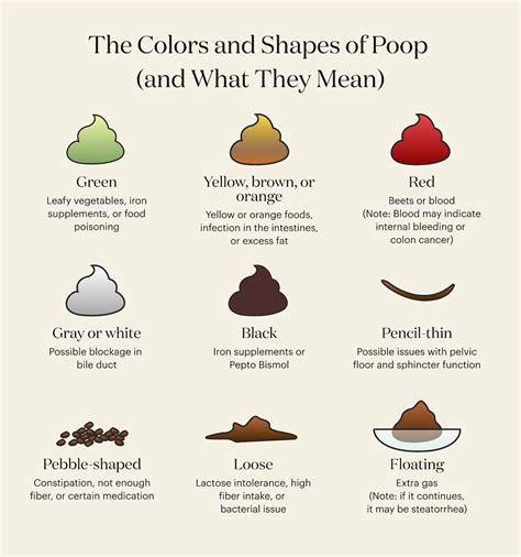 Why Is My Poop Green? And Other Poop Color Meanings | theSkimm