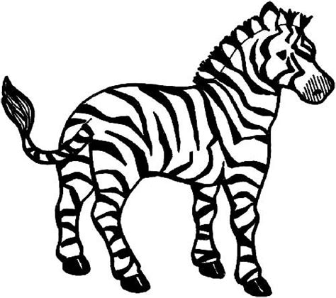 45 Desenhos De Zebra Para Imprimir E Pintar Colorindo Org