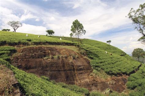 Voyage L Inde Du Nord Et Le Gange Voyageurs Du Monde