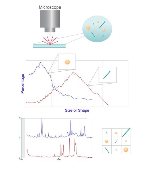 Raman Spectroscopy Particle Technology Labs