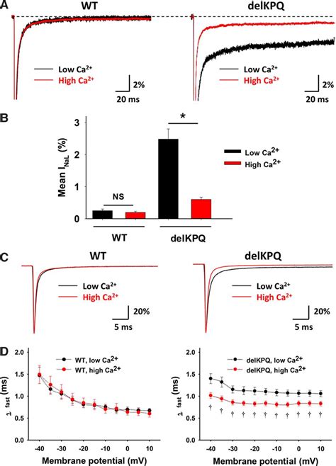 Intracellular Calcium Attenuates Late Current Conducted By Mutant Human