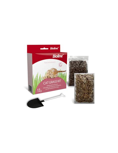 Cat Grass Kit Kit De Pasto Para Gatos