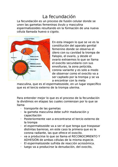 Gemelo Digital Rbol De Tochi Fusion De Las Membranas Celulares Del