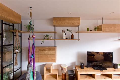 Cat Friendly Apartment in Japan Remodeled for Family's Furry Friend