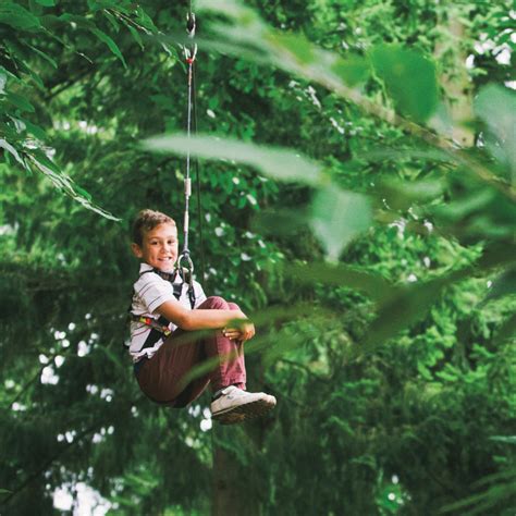 Go Ape Zipline And Treetop Adventures Learn More