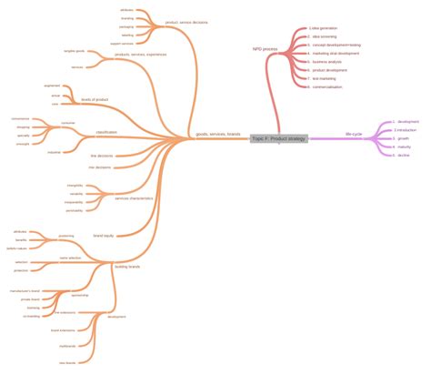 Topic F Product Strategy Coggle Diagram