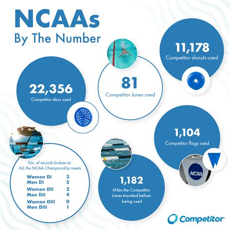 Ncaa Swimming Rankings 2024 - Nerty Zabrina