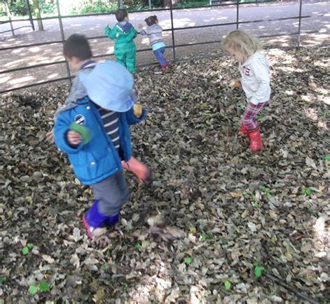 A Forest School Day Out The Learning Tree Childcare