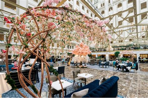 Cherry Blossoms Are In Peak Bloom At The Waldorf Astoria Washingtonian