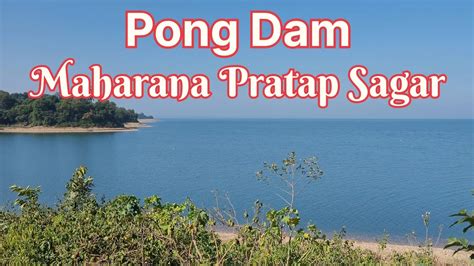 Biggest Dam Of India Pong Dam Maharana Pratap Sagar Youtube