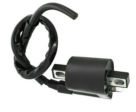 Ignition Coil For Yamaha Ttr250 Ttr 250 1999 2000 2001 2002 2003 2004 2005 2006 Ebay