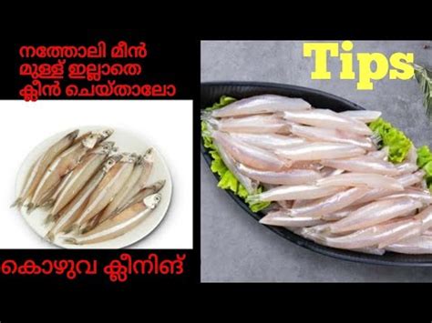 How To Clean Natholi Fish Easy Fish Cleaning Tips