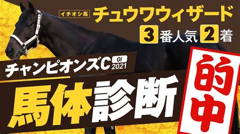 【チャンピオンズカップ 2021】フェブラリーsで9番人気2着馬推奨！ソダシにダート王の座は譲らない！某大手牧場の元スタッフが見抜くgi