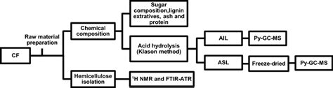 A diagram of the whole analytical workflow of structural and chemical ...