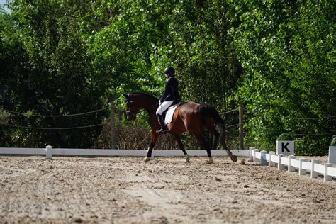 DSC04677 FEDERACION NAVARRA DE HIPICA Flickr