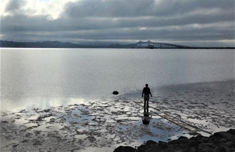 Major Bay Protection And Restoration Efforts Outlined In San Francisco