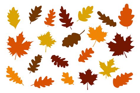 autumn leaves clipart 48094258 Vector Art at Vecteezy