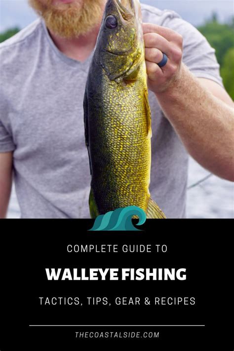 Walleye Fishing Tips Fishing | Walleye fishing lures, Walleye fishing ...