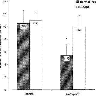 Spontaneous Locomotor Activity Of Ple Null Mutant Flies Flies