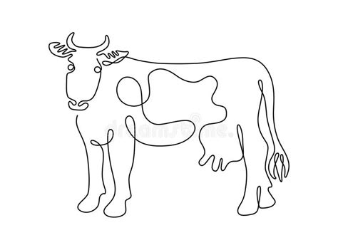 Continuous Line Drawing Of Cow Stock Vector Illustration Of