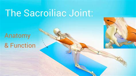 Biomechanics Of The Sacroiliac Joint Anatomy Function Off