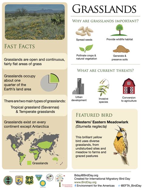 Habitat Factsheets Efta Digital Resource Library