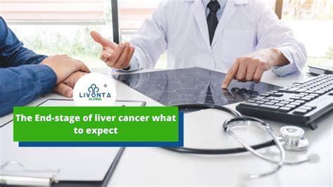 The End Stage Of Liver Cancer What To Expect Livonta Global Pvt Ltd