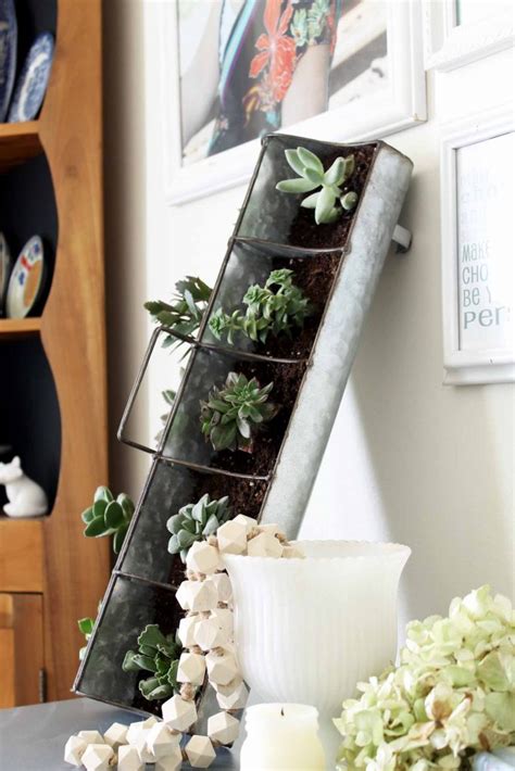 Indoor Succulent Garden in Minutes - Angie Holden The Country Chic Cottage