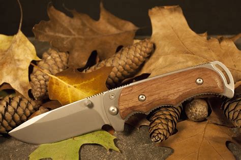 Best Field Dressing Knife on the Market 2019 – Buck Vanguard Review