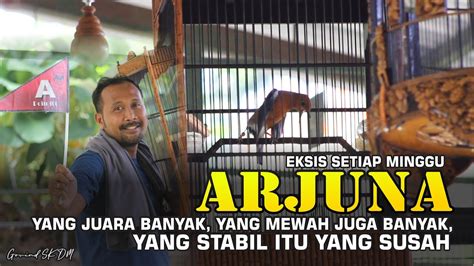 Anis Merah Arjuna Tampil Selalu Eksis Tiap Minggu Raih Terbaik Youtube