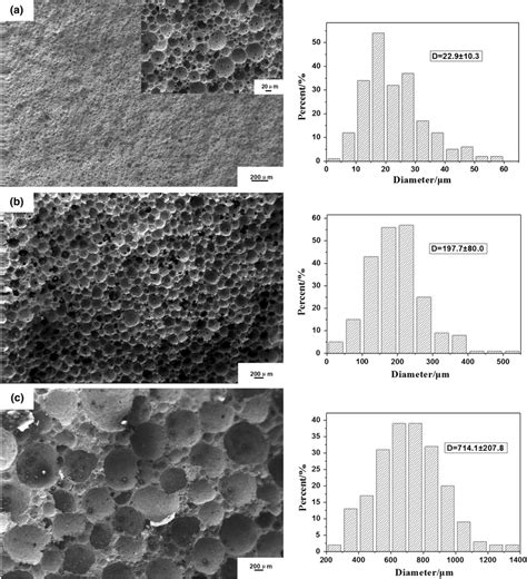 Microstructures Of The Porous Alumina Ceramics With Different Pore