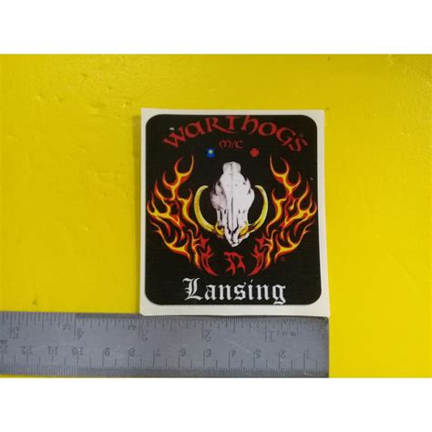 20230822 353 0129A WARTHOGS LANSING Body Sticker Stripe STIKER