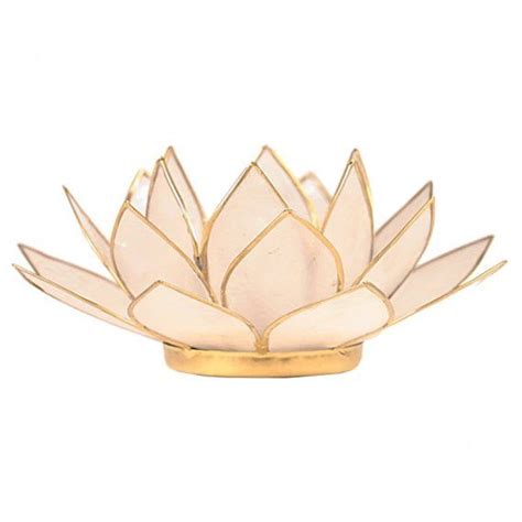 Chakra Coloured Capiz Shell Lotus Candle Holder Tea Light Etsy Lotus Candle Holder Tealight